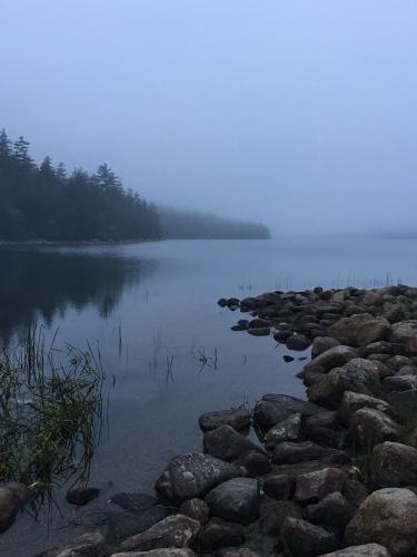 I took this around sunset in Acadia National Park Maine, Still my favorite picture I’ve taken. 3024 x 4032