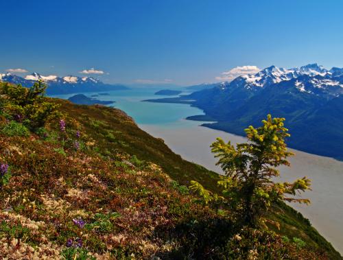 The Inside Passage from Mt. Ripinski - Haines, Alaska