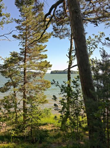 Summer day by the sea in Espoo, Finland