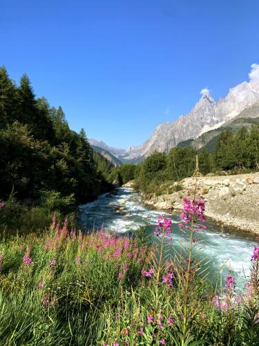 Alpine river near Monte Bianco