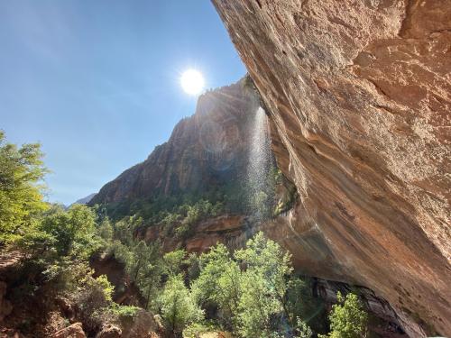 Zion National Park  -OC