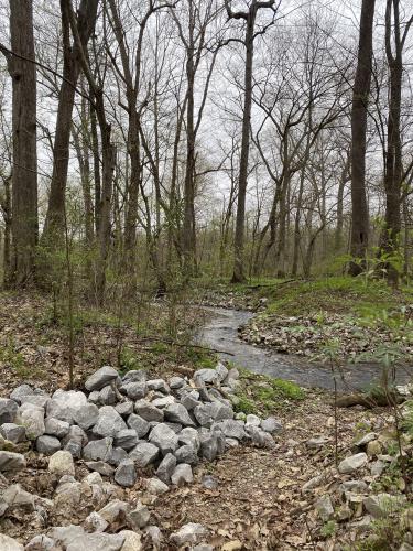 Cache River in southern IL, USA.