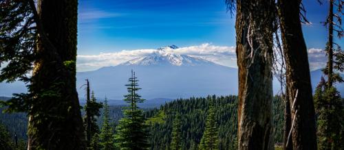 Mount Shasta from the Pacific Crest Trail. Shasta-Trinity National Forest, California, USA.