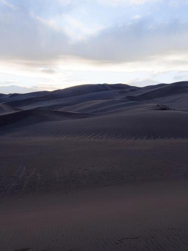 Moody dunes, CO