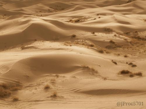 Central Utah Sand Dunes