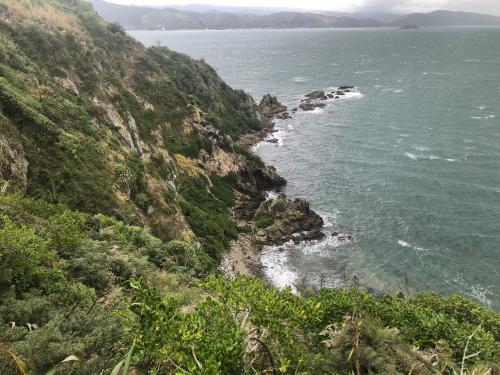 Coast of Somes Island, Wellington