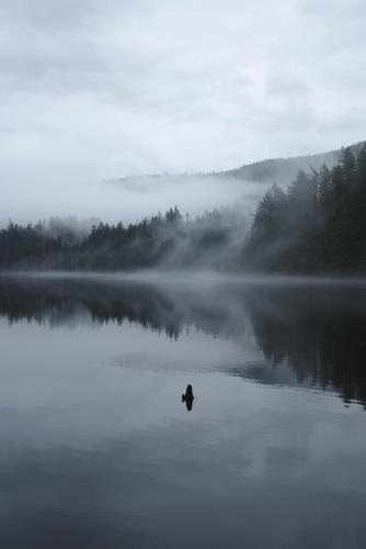 Mist settling on a lake at dusk, BC.
