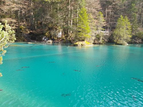 Blausee lake, Switzerland