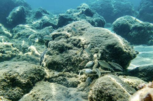 Under the Mediterranean Sea, Pefki, Rhodes, Greece