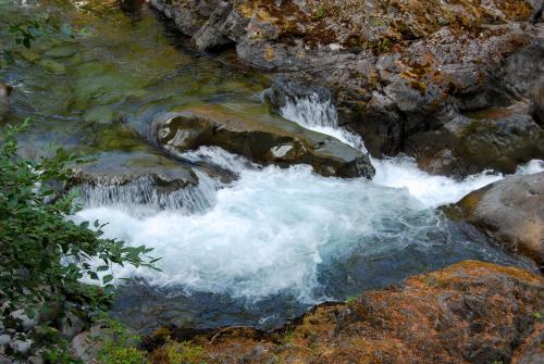 Sol Duc River, Washington