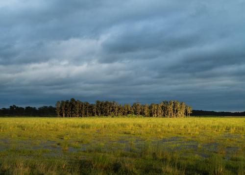 I caught a glimpse of sunshine after Hurricane Ian in Kenansville, FL