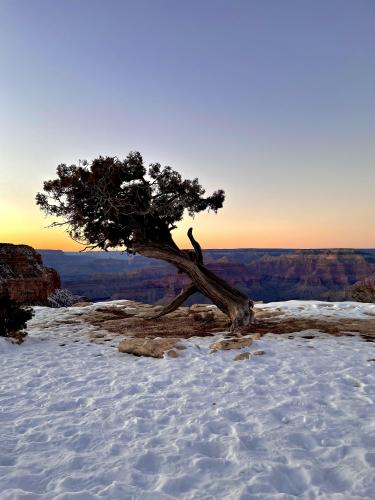 Grand Canyon, South Rim, Arizona, USA