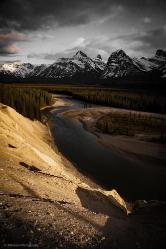 Evening shadows along Icefields Park, Jasper National Park, Alberta