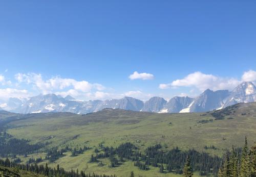 Mountain meadow- Purcell mountains Canada  -