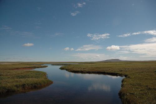 Wetland near Cambridge Bay, Canadian Arctic