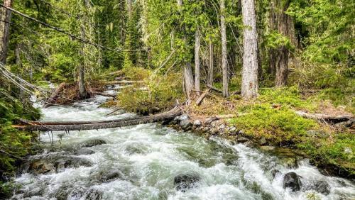 Rainy Creek, Eastern Washington