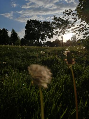 Local park in Ontario, Canada.