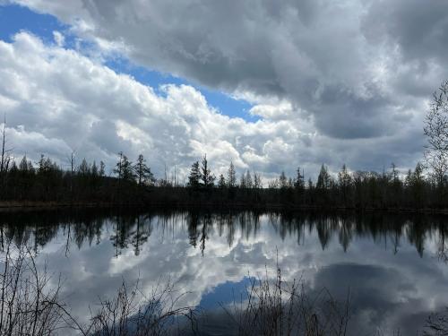 Beautiful Reflective Lake