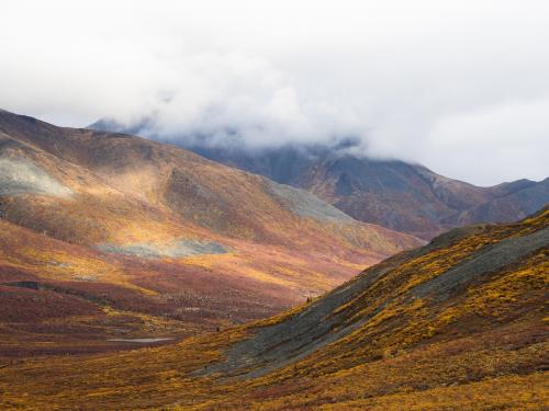 Fall Colours in the Yukon