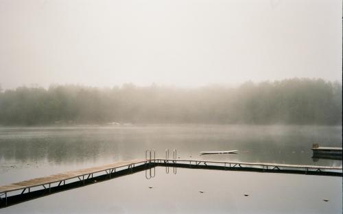 Foggy Lake