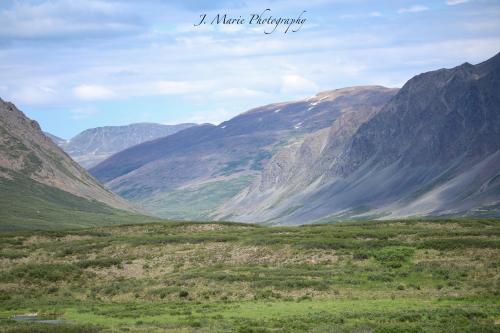 Views off the Denali Highway in Alaska