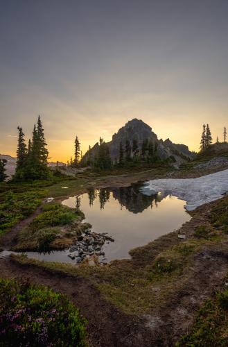 A morning to remember. Mount Rainier National Park 3819 x 5802 