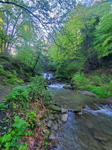 Otsquago Creek near Herkimer, NY