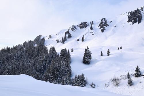 Velvet-like Snow in Meiringen, Swiss Alps