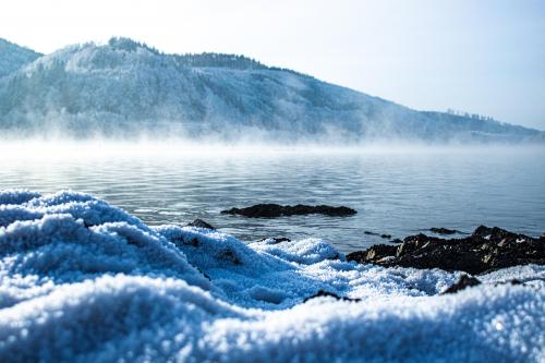 A cold day at a lake in Germany - dec 2022