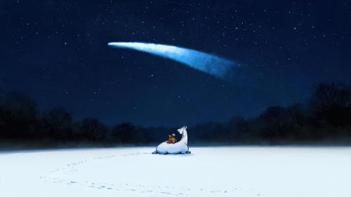 A boy looking at a shooting star