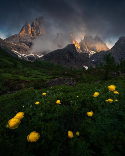 Early Summer in the Dolomites, Italy  IG @holysh0t