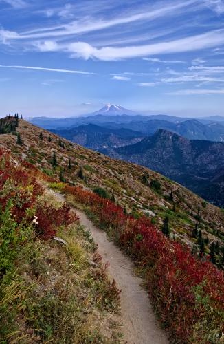 Mt Adams and Gifford Pinchot National Forest from Norway Pass, WA