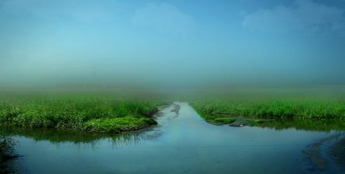 Grass Field in India