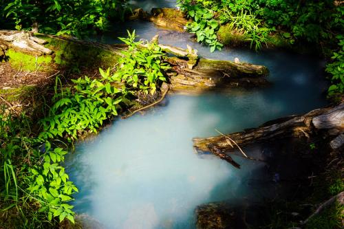 A rockslide at Rocky Mountain nation park cause a mineral reaction in some of the streams, creating this beautiful, unnatural turquoise water.