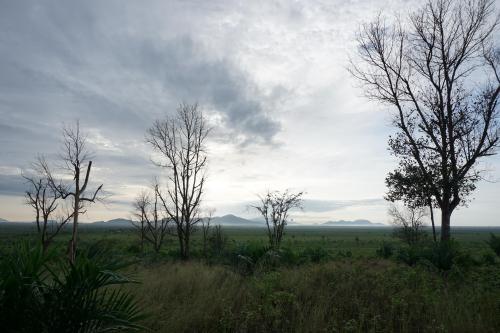 Mempawah Morning, West Kalimantan, Indonesia