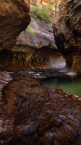 Catching the subway, Zion National Park, UT