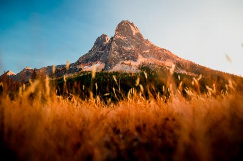 A golden meadow sits below Liberty Bell Mountain in the North Cascades, Washington