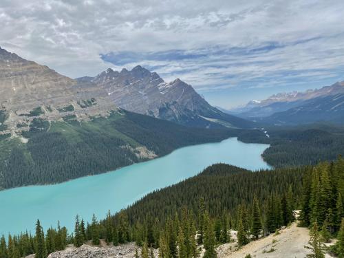 Peyto Lake, Banff National Park, AB Canada.