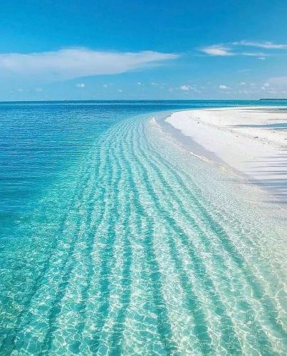 Clear Waters, Kuredu Island, Maldives