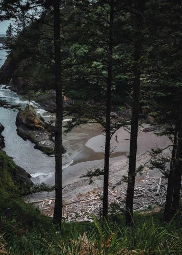 Dead Man's Cove, Washington