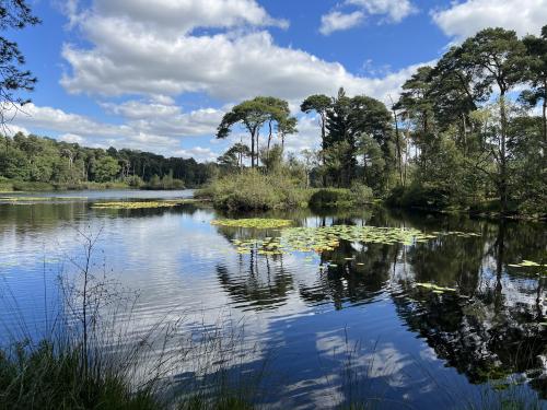 Pretty lake in the Netherlands. Oisterwijksche Heide