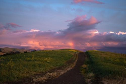 East Bay hills, Ca | OC