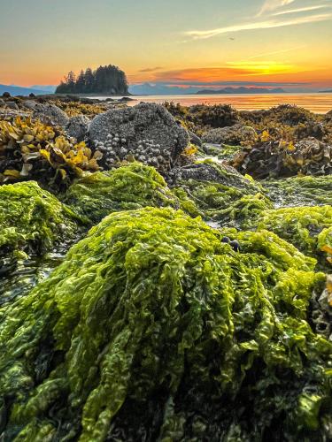 This sunset shot of Fritz Cove is vaguely reminiscent of a Zeppelin album cover