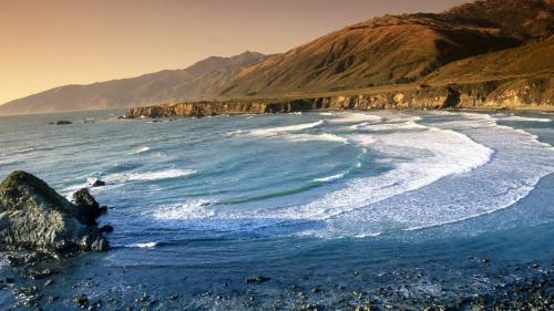 Sand Dollar Beach