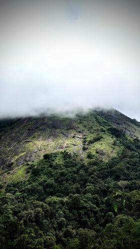 Misty Nelliyampathi hills, India