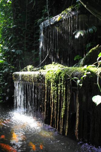 Waterfall in the Poznań Palm House in Poland