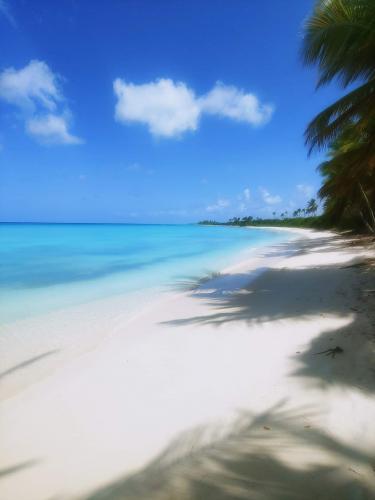 Saona Island in DR is a must see!