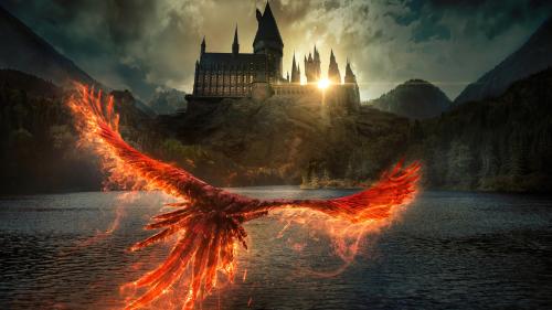 Phoenix v Hogwarts {}