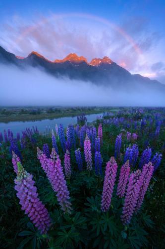 A dreamy morning. Fiordland, New Zealand {OC}