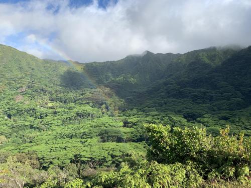 Pu’u Pia Trail, Honolulu, Hawaii  [2436 x 1125]